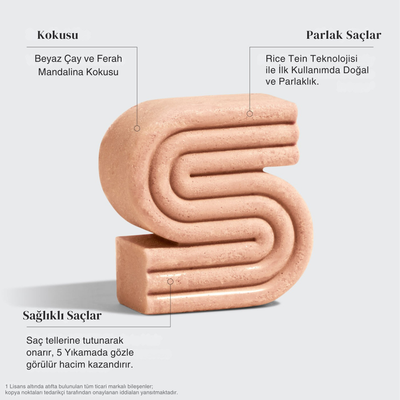 Sofel™ Pirinç Suyu Proteini: Hızlı Uzama & Dökülme Karşıtı Konsantre Şampuan Barı